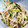 ★☆ルミ★☆'s cooksnap of when they made ★きゅうりともやしとツナのナムルサラダ.
