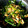 ゆーちゃん2kids's cooksnap of when they made わけぎと油揚げのオイスター炒め.
