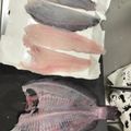 綾葉♪'s cooksnap of when they made ヒラメ捌き方、カレイ捌き方(5枚おろし).