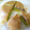 デュナン's cooksnap of when they made 炊飯器で簡単ヨモギ蒸しパン.