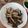 ともぱんたから's cooksnap of when they made しいたけの塩昆布バターソテー.