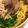 よすぴろ's cooksnap of when they made シンガポールバクテーのラーメン♬︎.