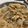 ナモテＤＡＩ's cooksnap of when they made 簡単★新玉ねぎおかかサラダ　レンジで.