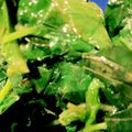 mapimapiko's cooksnap of when they made モロヘイヤのおひたし.