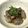 クックCW2KKP☆'s cooksnap of when they made 居酒屋風砂肝のマヨポン炒め♡.