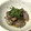 クックCW2KKP☆'s cooksnap of when they made 居酒屋風砂肝のマヨポン炒め♡.