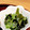 miyucchi29's cooksnap of when they made きゅうりと乾燥ワカメの酢の物.