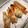 えつおくん's cooksnap of when they made アイヌネギの豚肉巻き(行者にんにく).