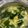クック0KTFV0☆'s cooksnap of when they made ＊お腹に優しい＊わかめと卵スープ.