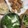 ﾌﾞﾚﾝﾀﾞ's cooksnap of when they made 長いもと水菜の簡単サラダ.