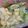 まな姫's cooksnap of when they made デリ風つくりおき！胡瓜と卵のサラダ.