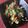 栗丸うさぎ's cooksnap of when they made ５分で！ほうれん草の簡単ごま油炒め♪♪.