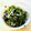 にきけん's cooksnap of when they made ほうれん草とじゃこの和えもの♡.