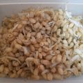 じぇりい's cooksnap of when they made もち麦のシンプル炒飯.