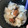 りんごⓒ's cooksnap of when they made さらさら冷やし茶漬け♪.