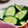 macha☆mama's cooksnap of when they made 昆布だしと塩で簡単きゅうりの浅漬け♥゛.