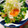 のんべぇヒロ's cooksnap of when they made 黄身がとろ〜り☆ネギトロと温泉たまご.
