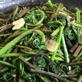 アチャこ's cooksnap of when they made たらの芽とこごみのペペロンチーノ♪.