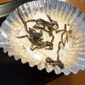 yunapi☆'s cooksnap of when they made クリームチーズの塩こんぶ和え.