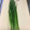 ☆こまっと☆'s cooksnap of when they made ノビルの下処理　水をあまり使わない方法.