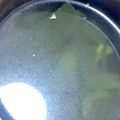 むむむさん's cooksnap of when they made 中華屋さんのチャーハン＆スープ.