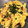 seacomet's cooksnap of when they made 大根皮の炒めたん.