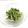 クックOORN8P☆'s cooksnap of when they made 蕪の葉のゴマ和え.