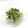 クックOORN8P☆'s cooksnap of when they made 蕪の葉のゴマ和え.