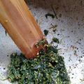 ナヲミンミン's cooksnap of when they made ご飯がすすむ☆クレソンの甘辛味噌.