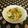 龍青空ママ's cooksnap of when they made レンジで1分半スピードカイワレあえ.
