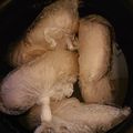 みほっこさん's cooksnap of when they made 炊飯器に放置！柔らかサラダチキン！.
