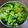 クックABDFZT☆'s cooksnap of when they made 春キャベツと叩き胡瓜の塩昆布和え.