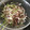 ☆こまっと☆'s cooksnap of when they made あさつきの根っこ（鱗茎）の豚肉生姜焼き.