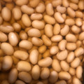 attchen's cooksnap of when they made 作り置きで便利な　ひたし豆.