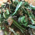 アチャこ's cooksnap of when they made 赤こごみのおひたし.