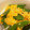 さこあ's cooksnap of when they made 絹さや卵炒め.