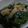 ニャ〜子♪'s cooksnap of when they made あおやぎとわけぎのぬた.