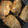 R2016's cooksnap of when they made 鯵のゴマまぶし焼き.
