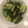 みろぼし's cooksnap of when they made 塩昆布ときゅうりの簡単漬物.