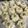 shii−☆'s cooksnap of when they made 簡単！基本の焼売/しゅうまい.