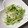 K0A9O0R8U♪'s cooksnap of when they made 柚子胡椒香る水菜ともやしの塩昆布ツナ和え.