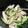 Cook39Ryo's cooksnap of when they made きゅうりとササミのたらこマヨ和え.