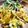クリーピングタイム☆'s cooksnap of when they made 薩摩芋の皮の❇️梅マヨソテー❇️.
