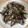 Yokchina's cooksnap of when they made 食べる煮干しと胡桃の蜂蜜しょうゆ.
