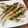 低カロ探検隊's cooksnap of when they made 香ばしい！丸ごと食べれる！カレーししゃも.