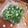 まこさんど's cooksnap of when they made 美味しい冷凍ネギの作り方.
