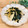 mikko6's cooksnap of when they made 筍とわかめの炒めナムル。.
