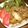 エコー＊＊'s cooksnap of when they made 長芋とラム肉のカレー炒め.