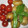 vaiobluenote's cooksnap of when they made 新じゃがの揚げ煮.