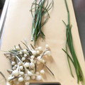 ☆こまっと☆'s cooksnap of when they made のびる（野蒜）の下処理.